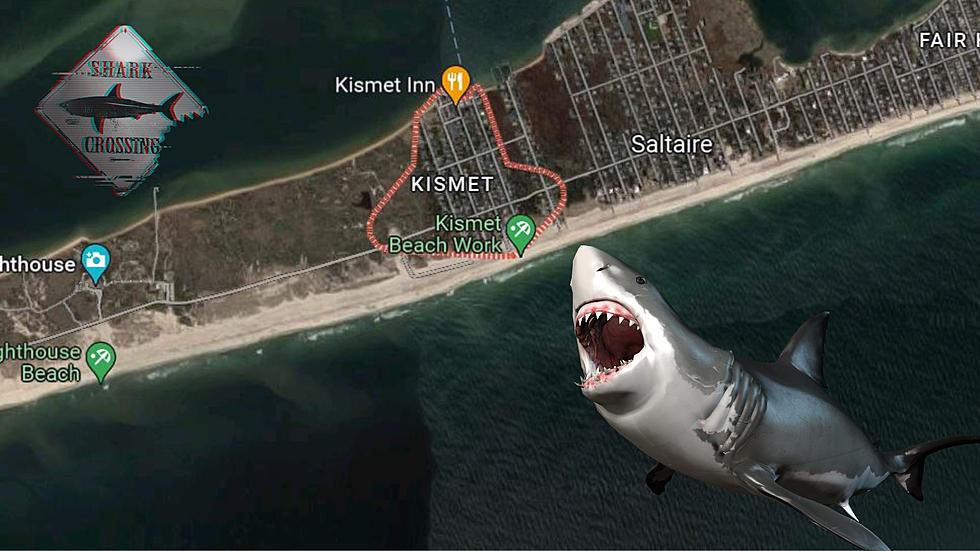 3 in New York Survived Shark Attacks Over 4th of July Holiday