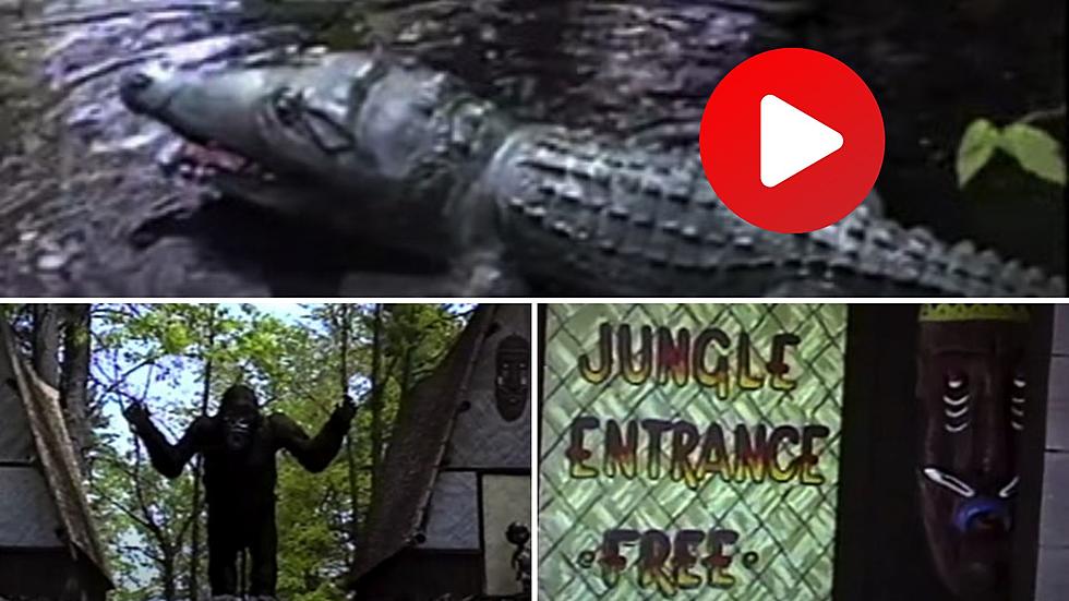 Old Vid Goes Into the Jungle! Remember this Lake George Attraction?