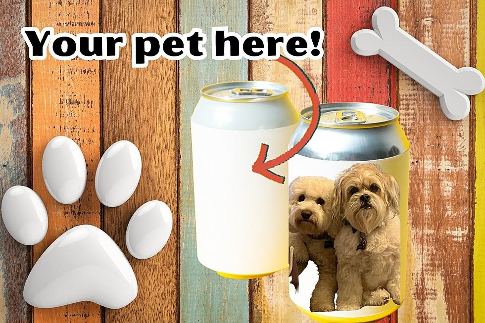 Your Furry Friend Featured on Upstate NY Craft Beer Label For Great Cause!