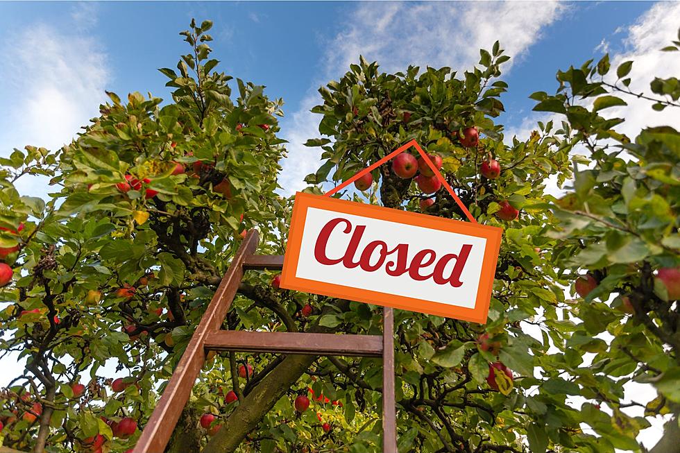 Upstate NY Apple Farm Closing Today After 54 Years in Business