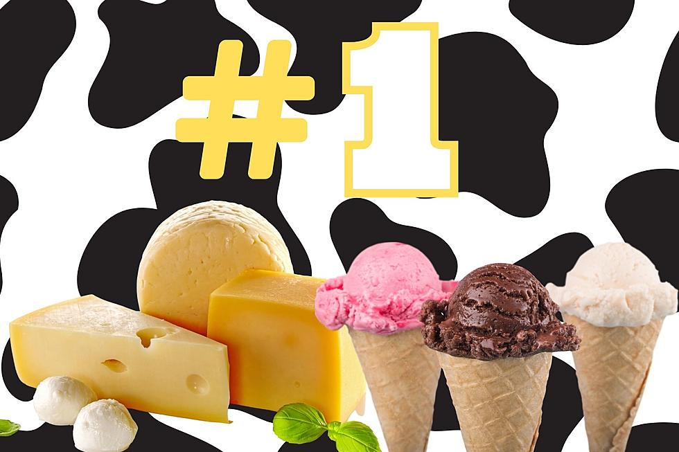 Upstate NY Ice Cream Chain & Local Dairy Farms Win Big at State Fair!