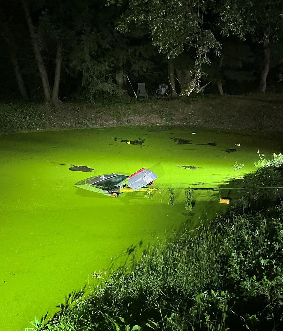 Drunk Driver in Downstate Attempts Getaway but Drives into Pond