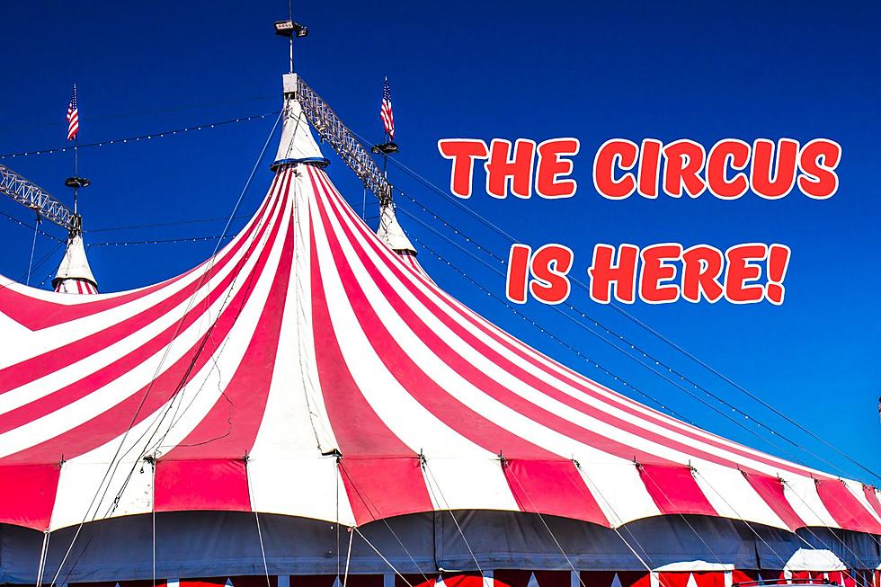 Come One Come All! The Circus Is Coming to Crossgates Mall!