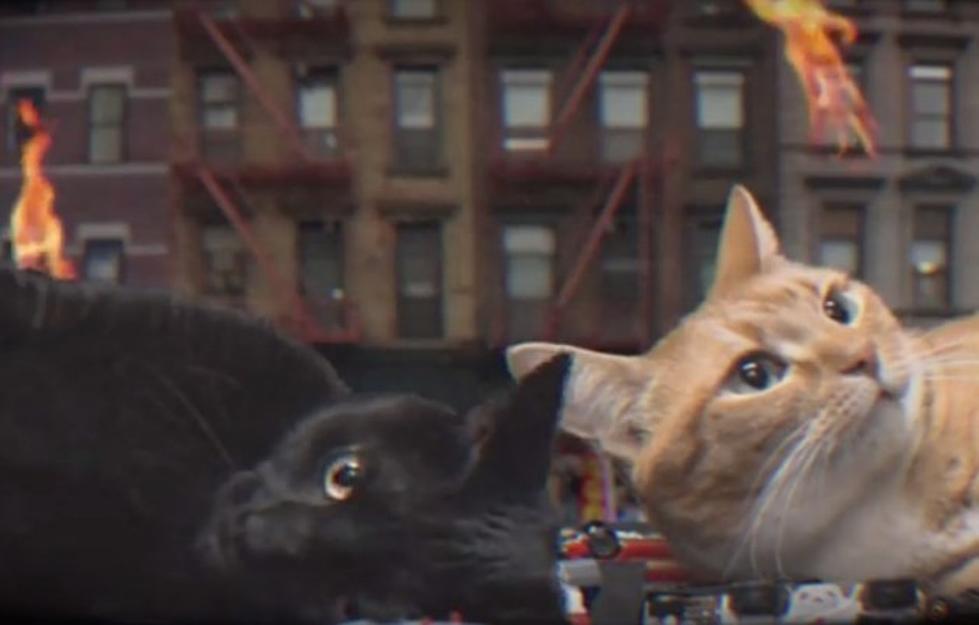 Cats Destroy the City in Run the Jewels&#8217; &#8220;Oh My Darling, Don&#8217;t Meow (Just Blaze Remix)&#8221; Video
