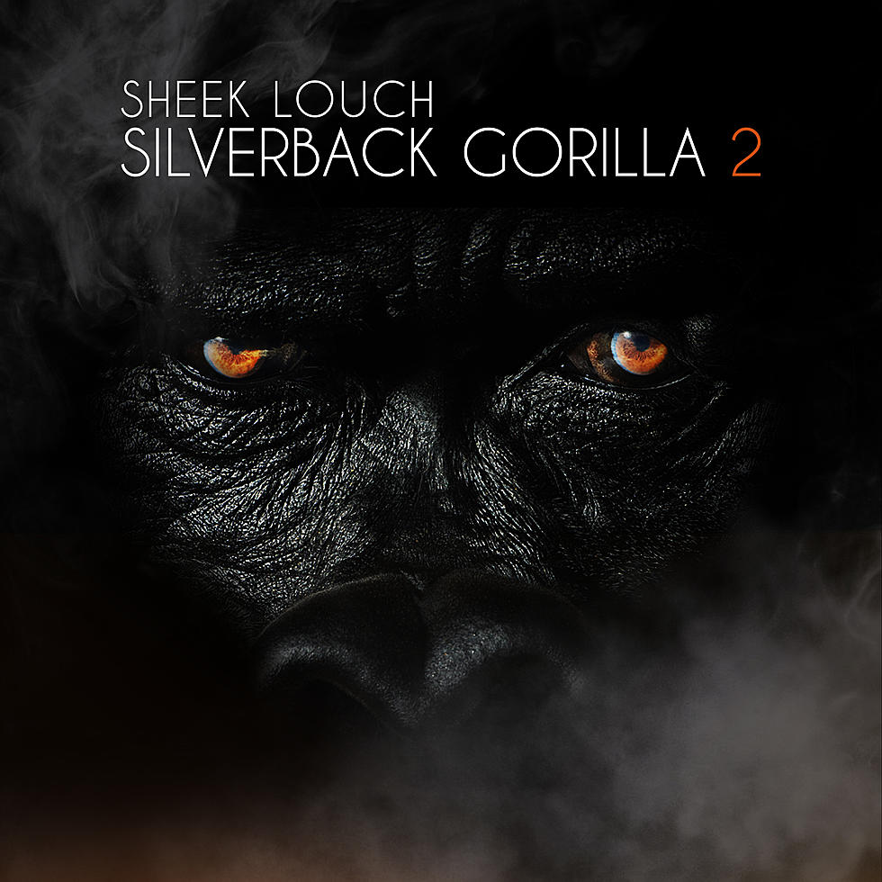 Listen to Sheek Louch Feat. Ghostface Killah, “I Luv It”