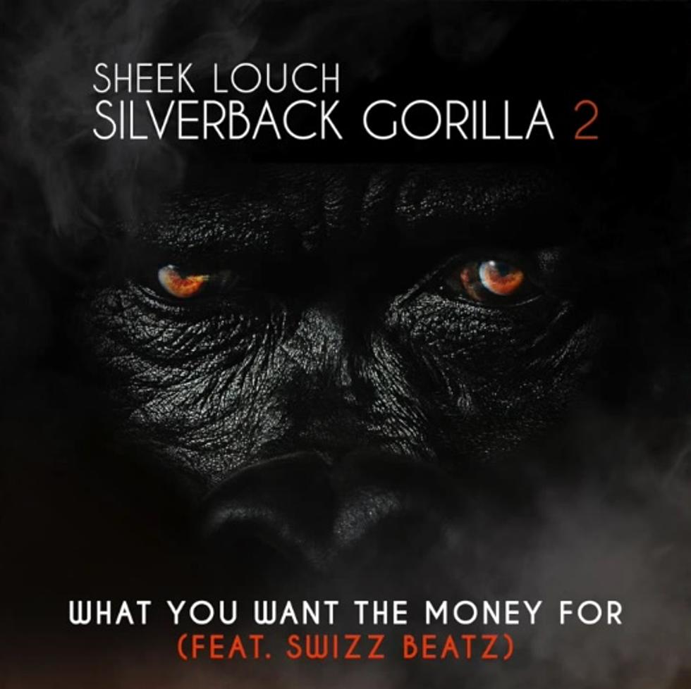 Listen to Sheek Louch, "What You Want The Money For"