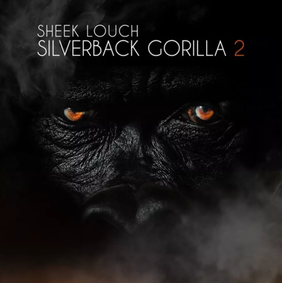 Stream Sheek Louch's New Album