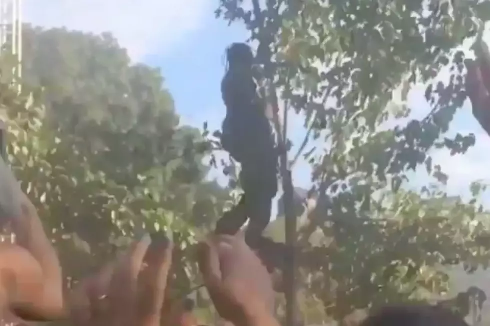Travis Scott Performs &#8220;Antidote&#8221; in a Tree at 2016 Made in America Festival