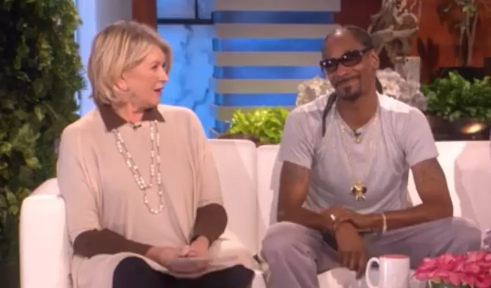 Snoop Dogg and Martha Stewart Play Never Have I Ever on ‘Ellen’
