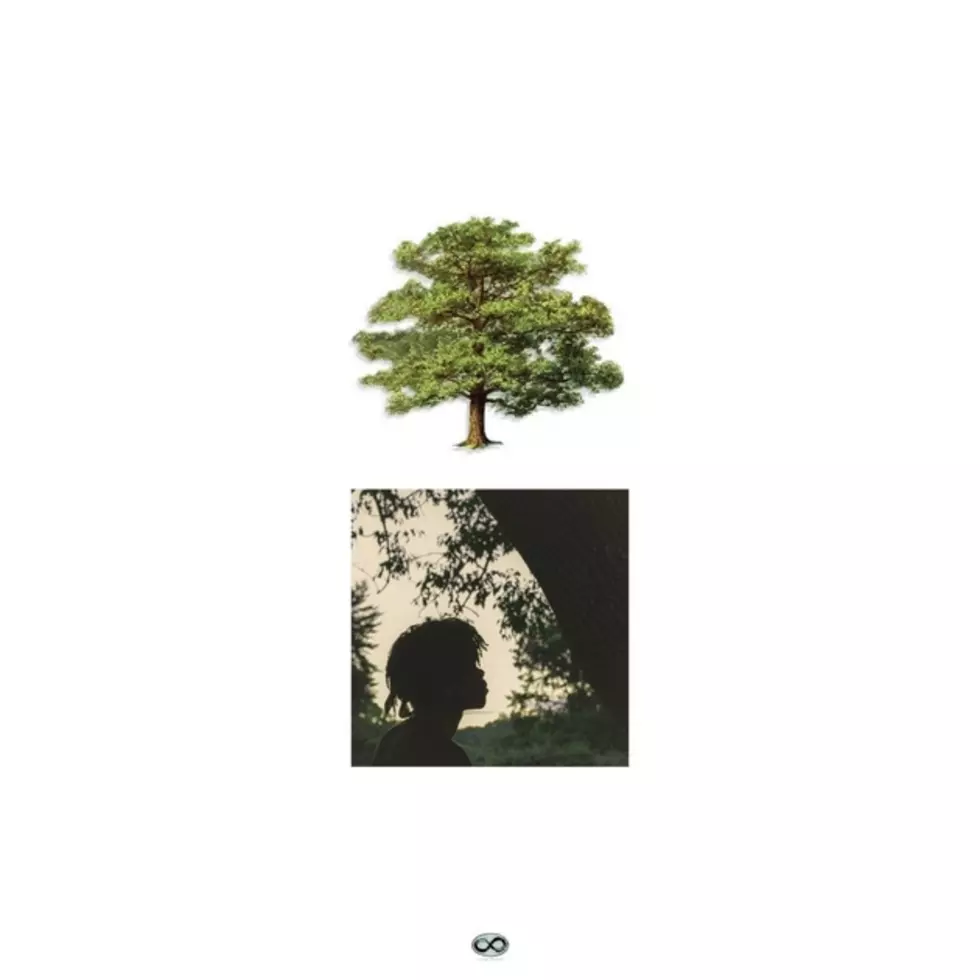 Trapo Releases Debut Album 'Shade Trees'