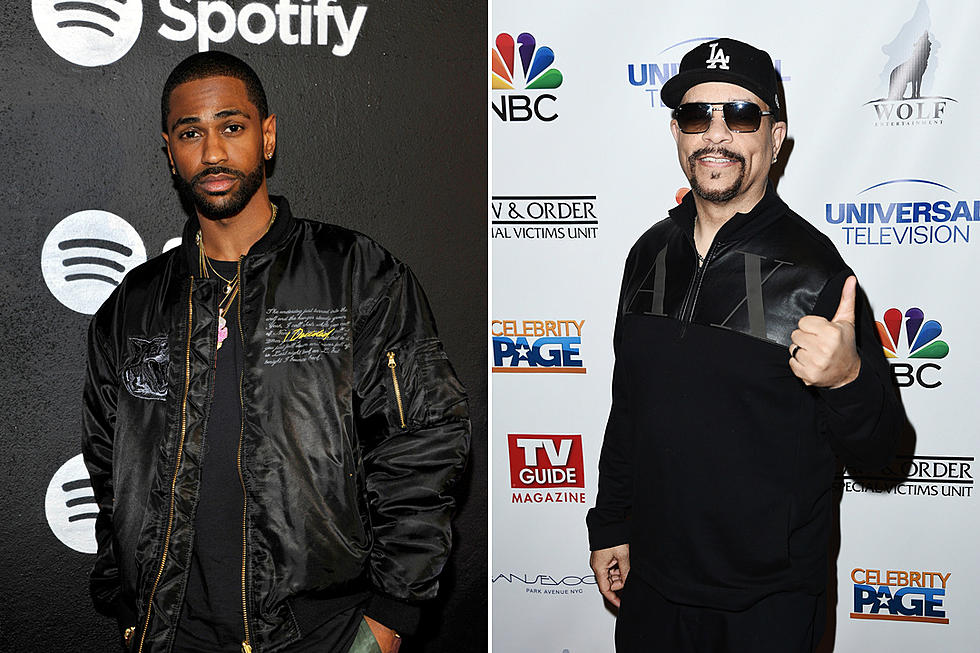 Big Sean, Ice-T Among Voices on New Season of HBO’s ‘Animals’