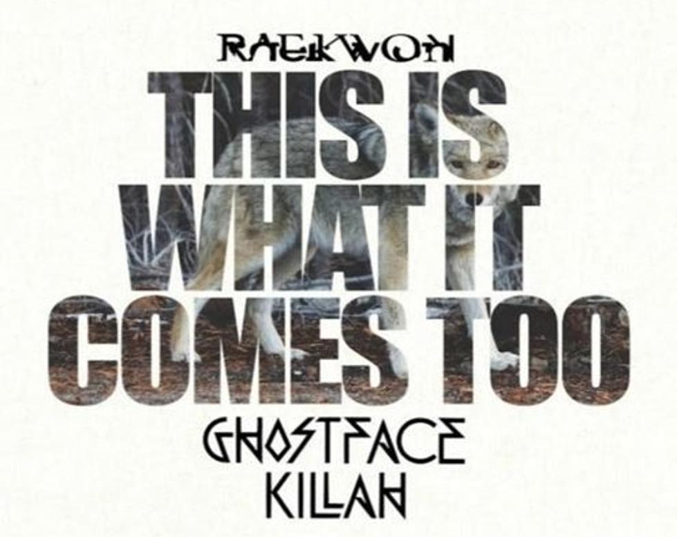 Raekwon Enlists Ghostface Killah for 'This Is What It Comes Too' Remix