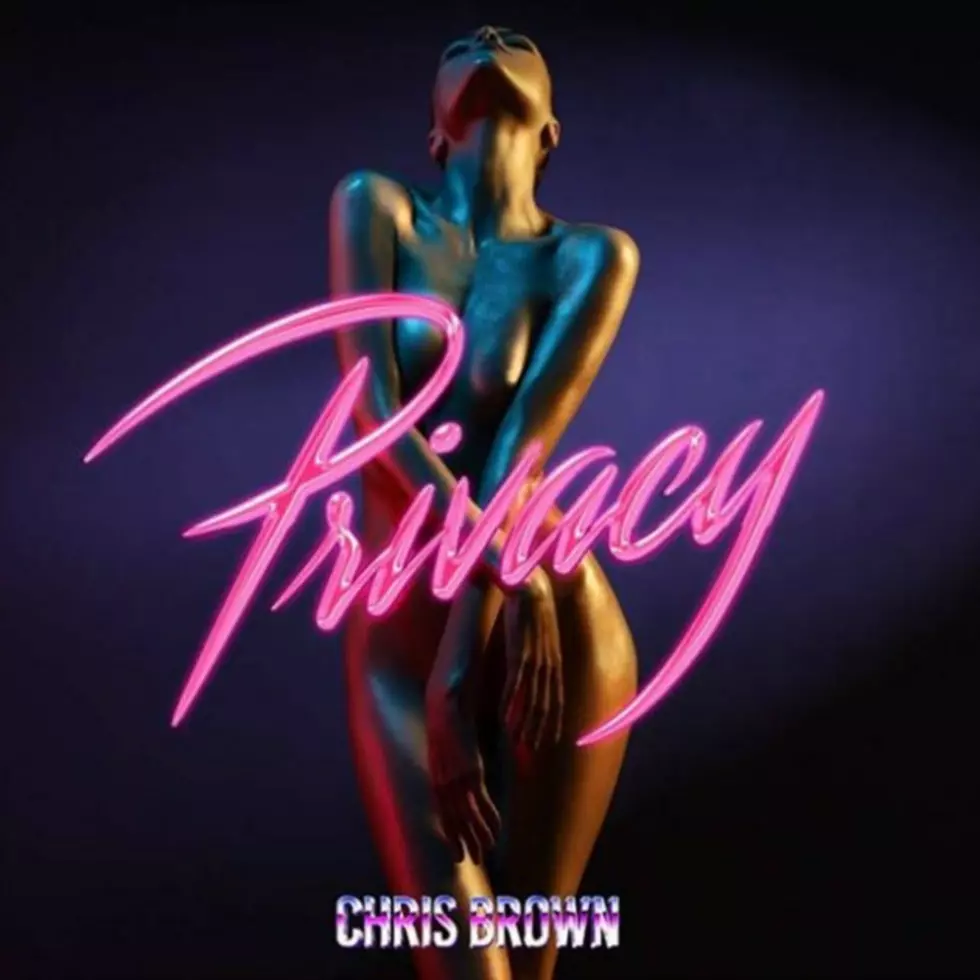 Chris Brown Wants Some 'Privacy' on New Song