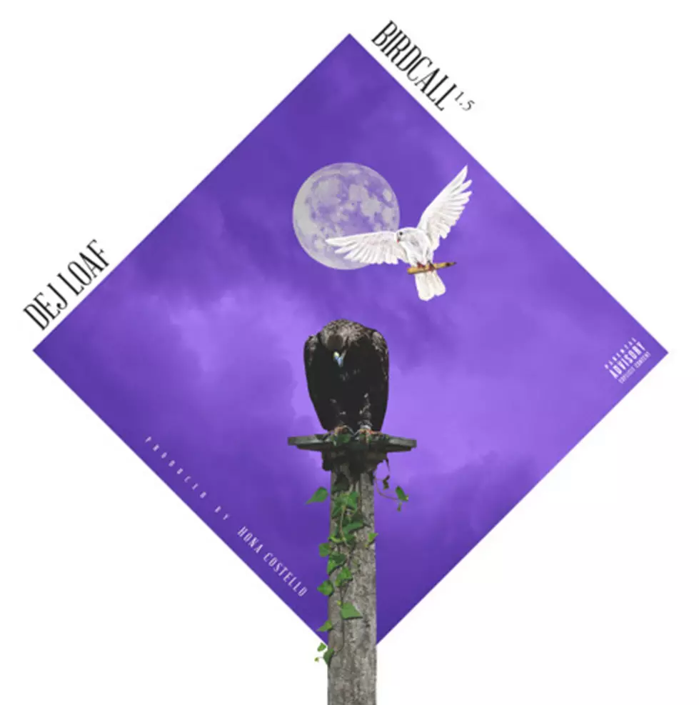 DeJ Loaf Doesn’t Hold Back on New Song “Birdcall 1.5″