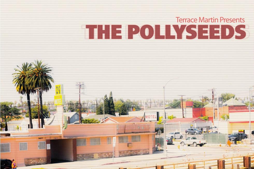 Terrace Martin Forms New Group The Pollyseeds, Drops 'Intentions' Featuring Chachi