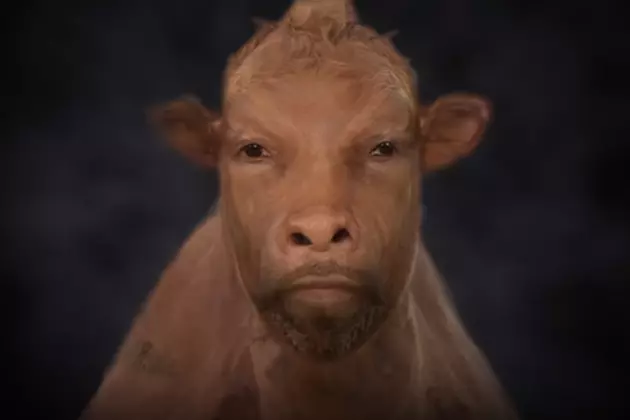 RZA Transforms Into Different Animals and People in New PETA PSA