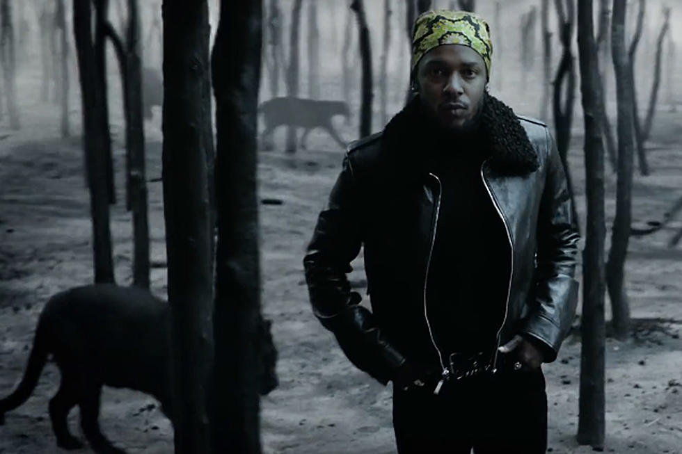 Kendrick Lamar Roams With Panthers in ''All the Stars'' Video