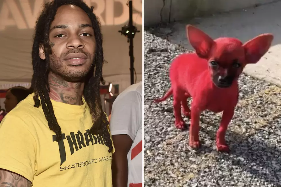 PETA Is Upset With Valee for Dyeing His Dog Red
