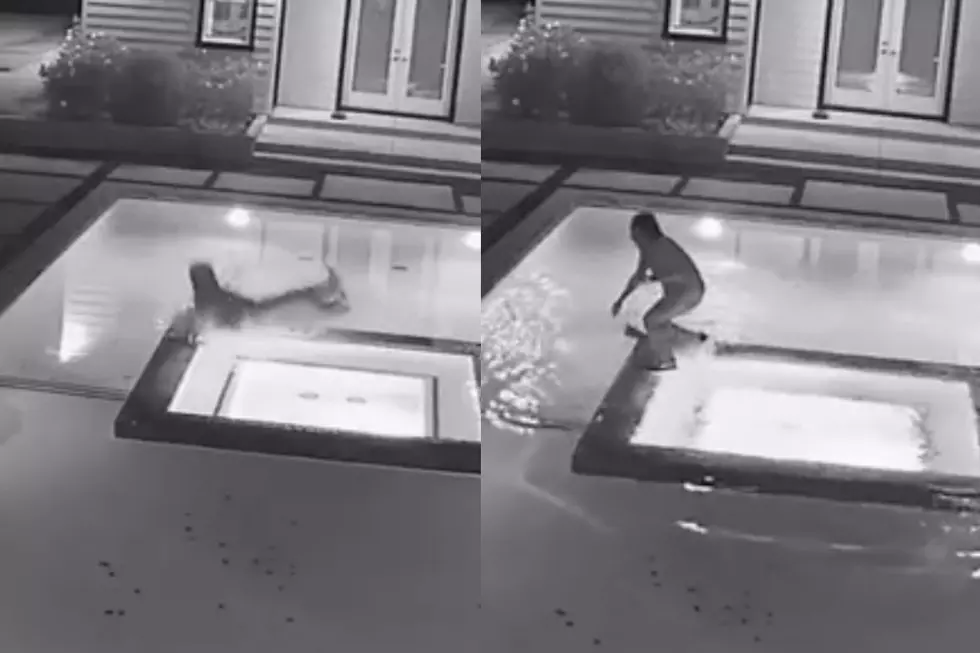 Video: Uzi Falls Into Pool 