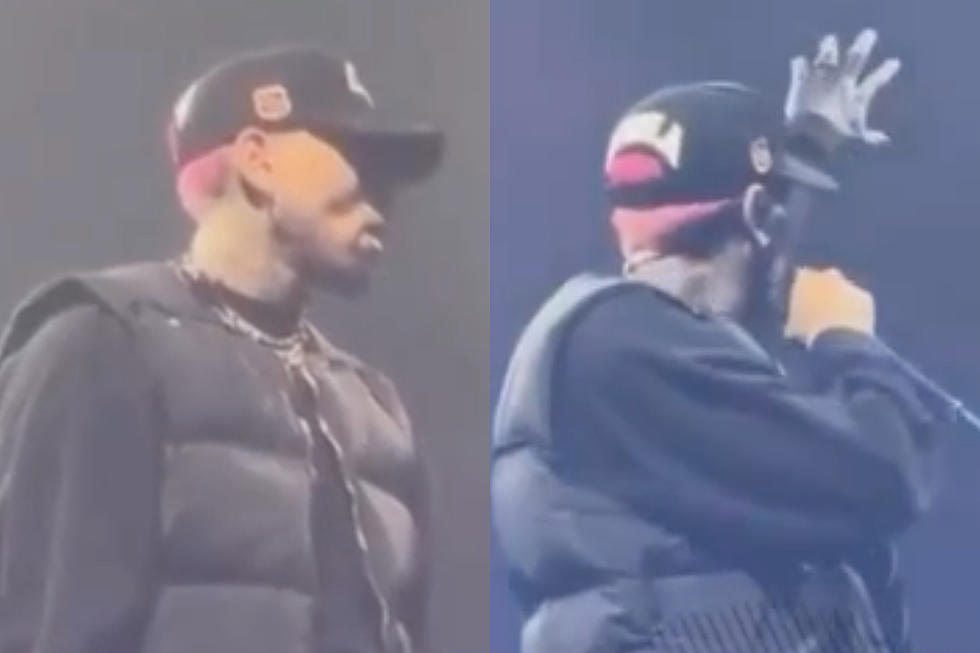 Chris Brown Stops Show to Check On Fan