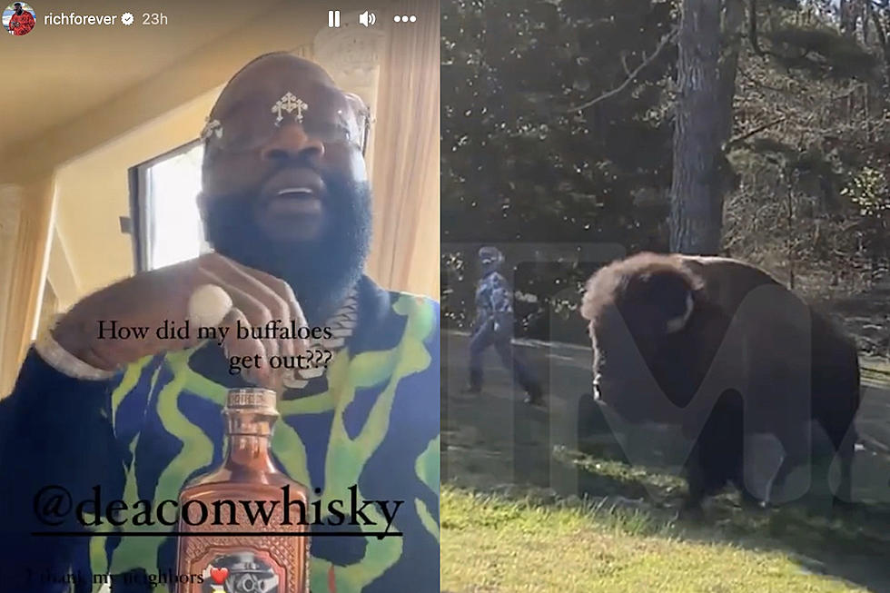 Rick Ross Addresses Recent Backlash From Neighbors Due to Wandering Buffaloes