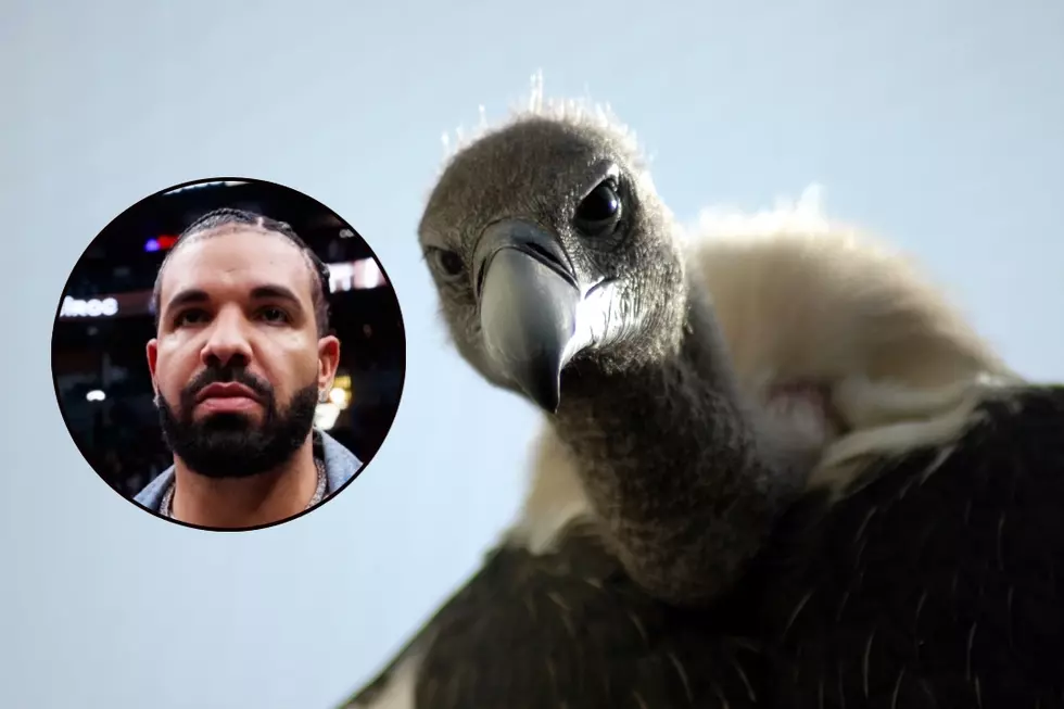 Is Drake a Culture Vulture?