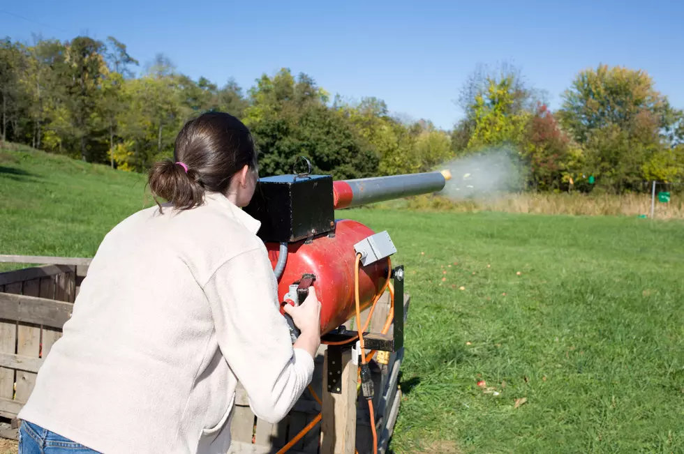 Destroy Targets with an Apple Cannon at This Farm in Massachusetts [WATCH]