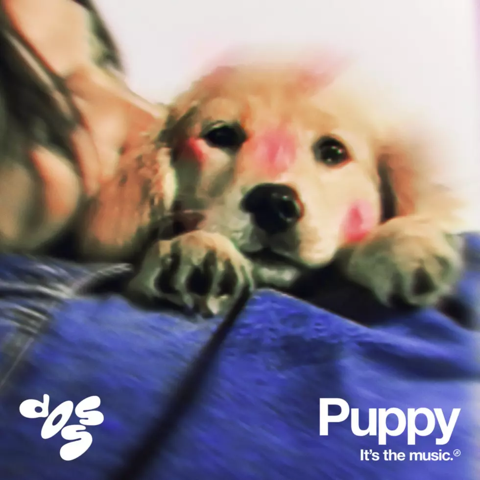Doss returns with new single “Puppy”