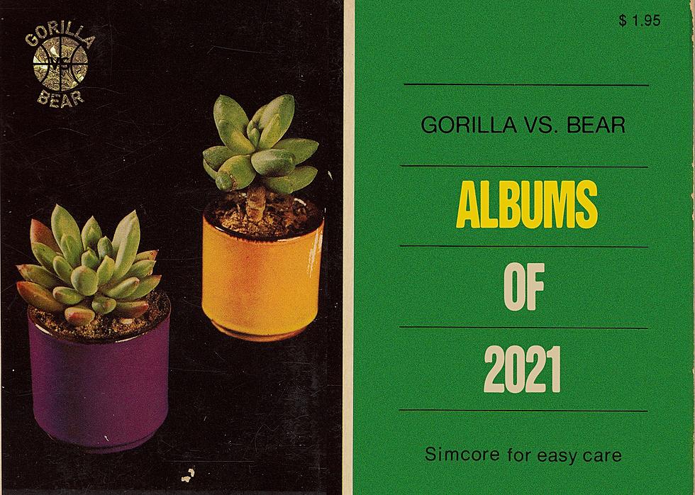 gorilla vs. bear’s albums of 2021