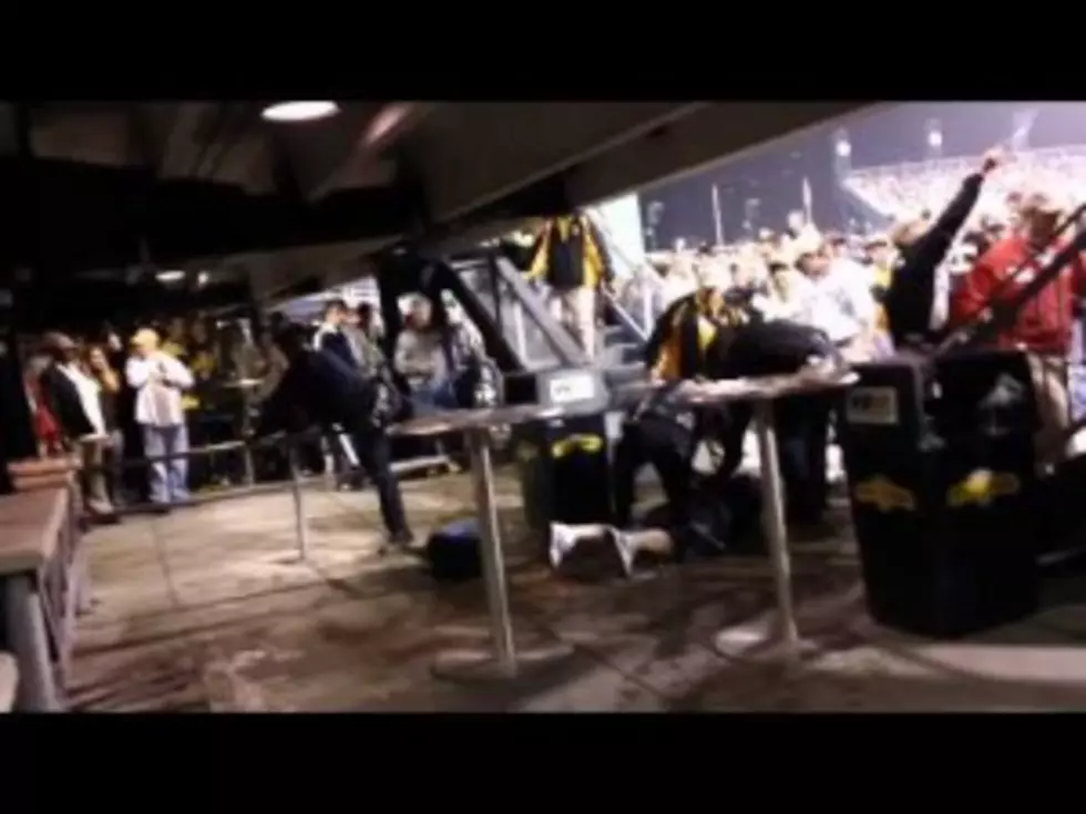 Baseball Fan Tasered And Beaten By Cops [VIDEO]