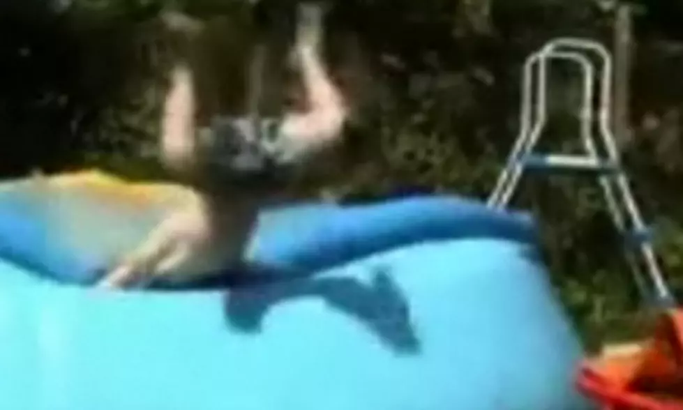 Trampoline To Pool Faceplant