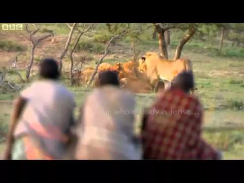 Three Guys Steal Food From 15 Lions [VIDEO]