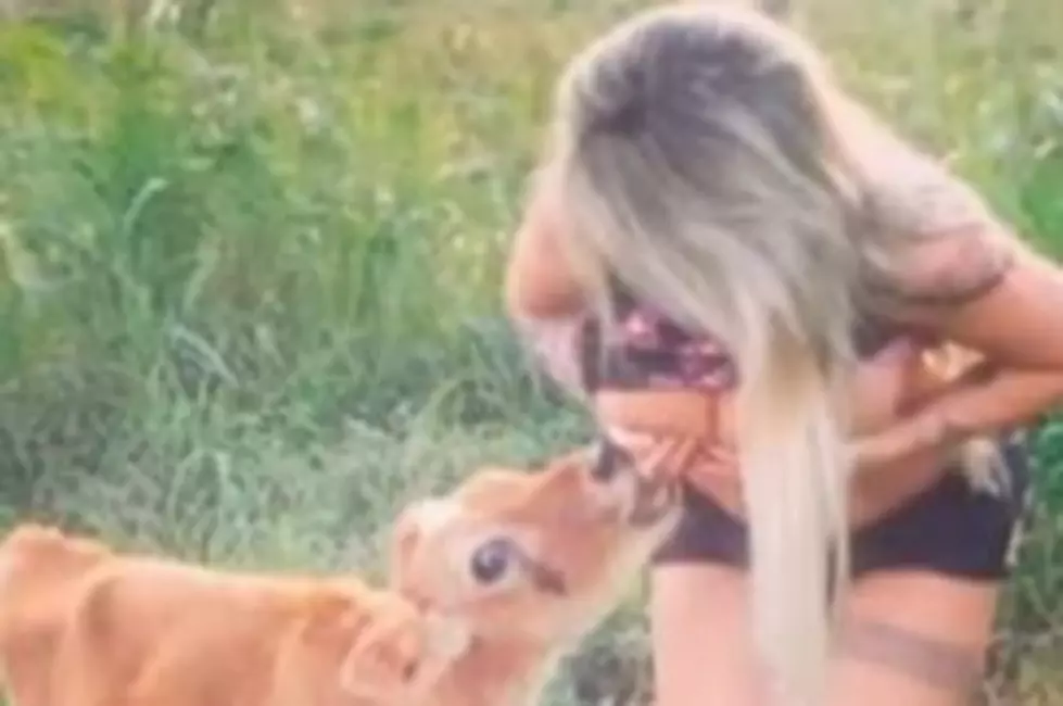 Model Instagrams Herself Breastfeeding Calves [VIDEO]