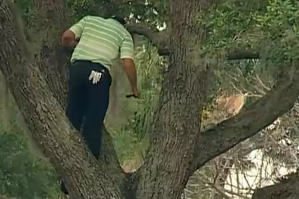Golf Pro Sergio Garcia Avoids Penalty Stroke By Shooting Out Of A Tree