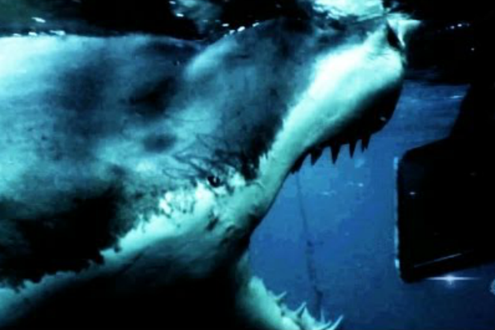 Is The Discovery Channel’s Shark Week Documentary ‘Megalodon’ For Real?
