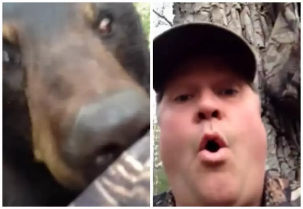 Man Has Extremely Scary Face to Face Moment With Bear [VIDEO]