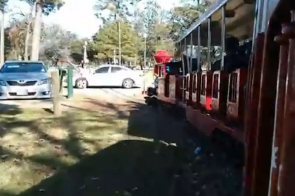 Park Train Collides With Car On The Tracks [VIDEO]