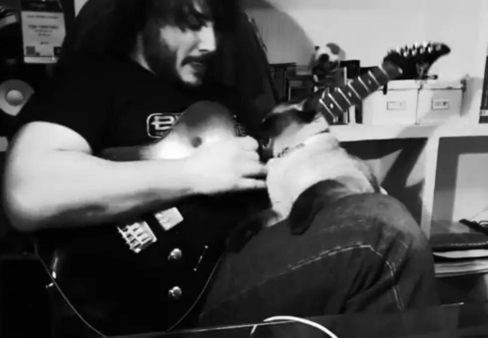 Dude Shreds on Guitar While Cat Bites and Annoys Him [VIDEO]