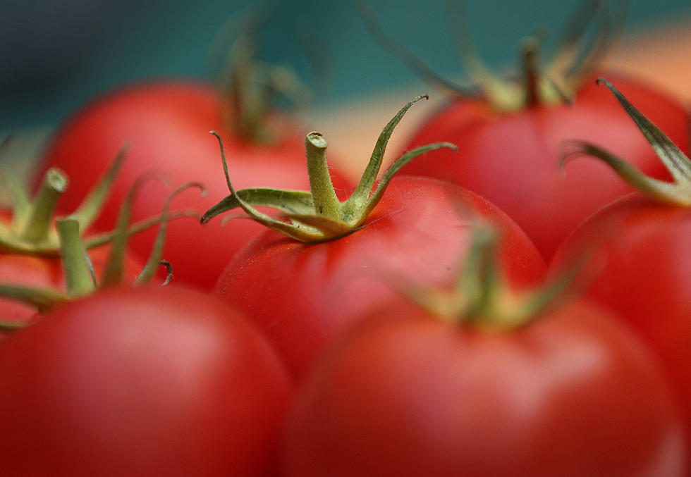 Michigan Automaker to Build Cars With Tomatoes?
