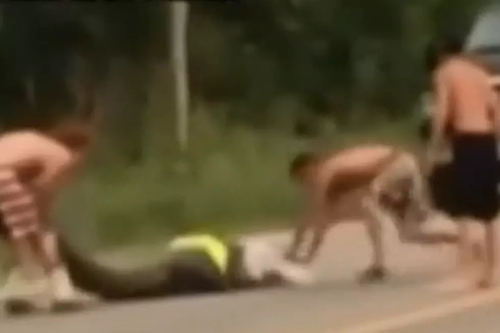 Drunk Guy Attempts To Pull Alligator Off The Road, Gets Attacked [VIDEO]