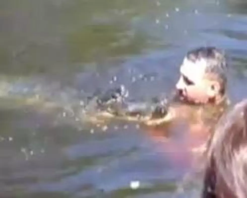 Louisiana Tour Guide Swims With Alligators, Feeds Them From His Mouth [VIDEO]