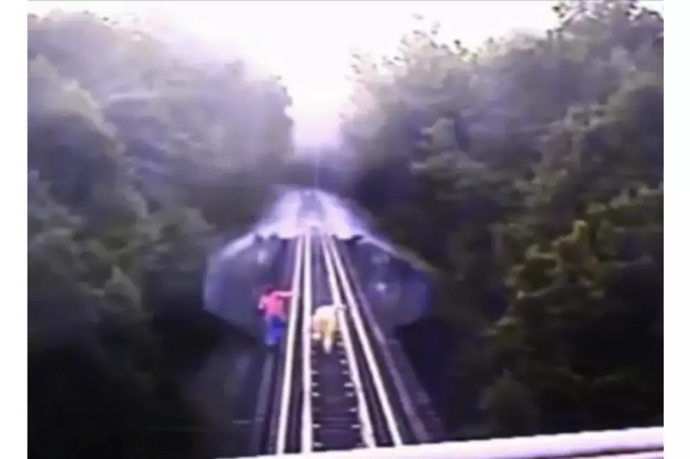 Insane Footage of Train Running Over Two Women [VIDEO]