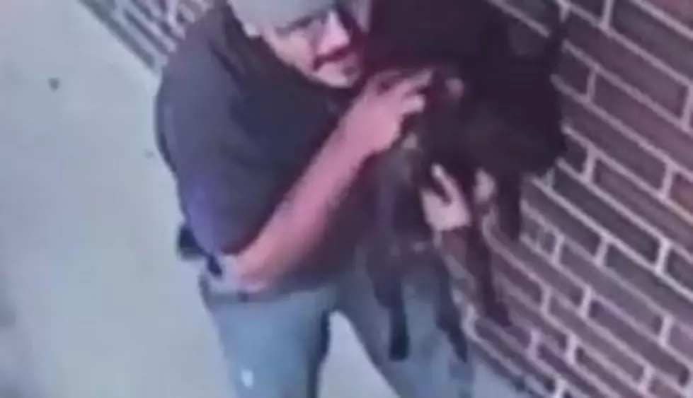 Fed Ex Driver Caught On Camera Stealing Dogs [VIDEO]