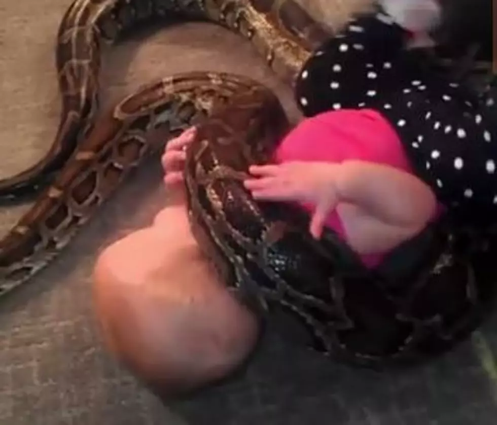 Michigan Man Allows Baby Daughter To Play With Python [VIDEO]