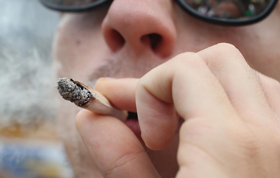 Michigan to Vote On Statewide Marijuana Legalization in 2016