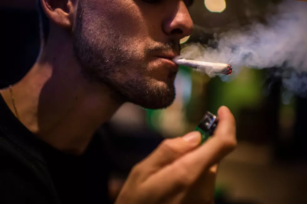 Michigan Study Finds Marijuana Reduces Overdose Deaths