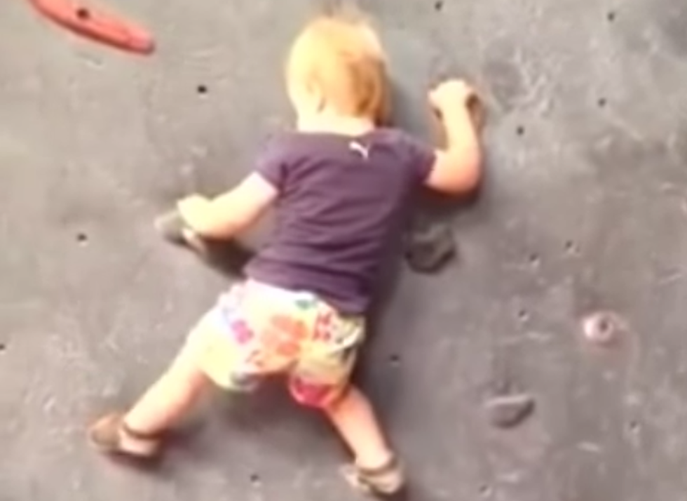 Rock Climbing Baby — Tot Scales Wall Like A Boss [VIDEO]