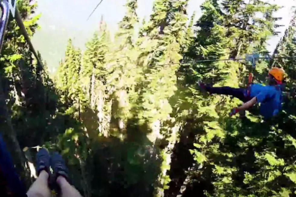 Awesome Zip Line Travels At 90 MPH [VIDEO]