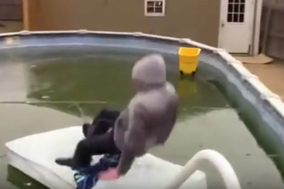 Dad Jumps Into Frozen Pool, Smashes Head On Ice [VIDEO]