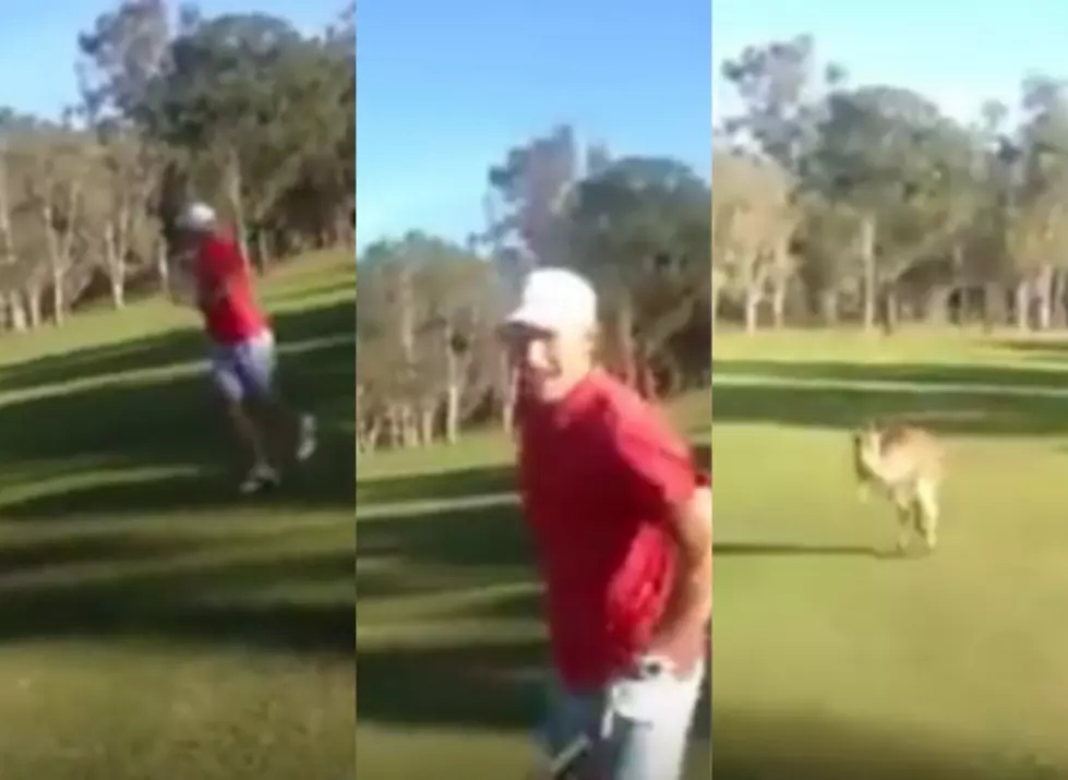 Kangaroo Chases Golfers On The Golf Course [VIDEO]